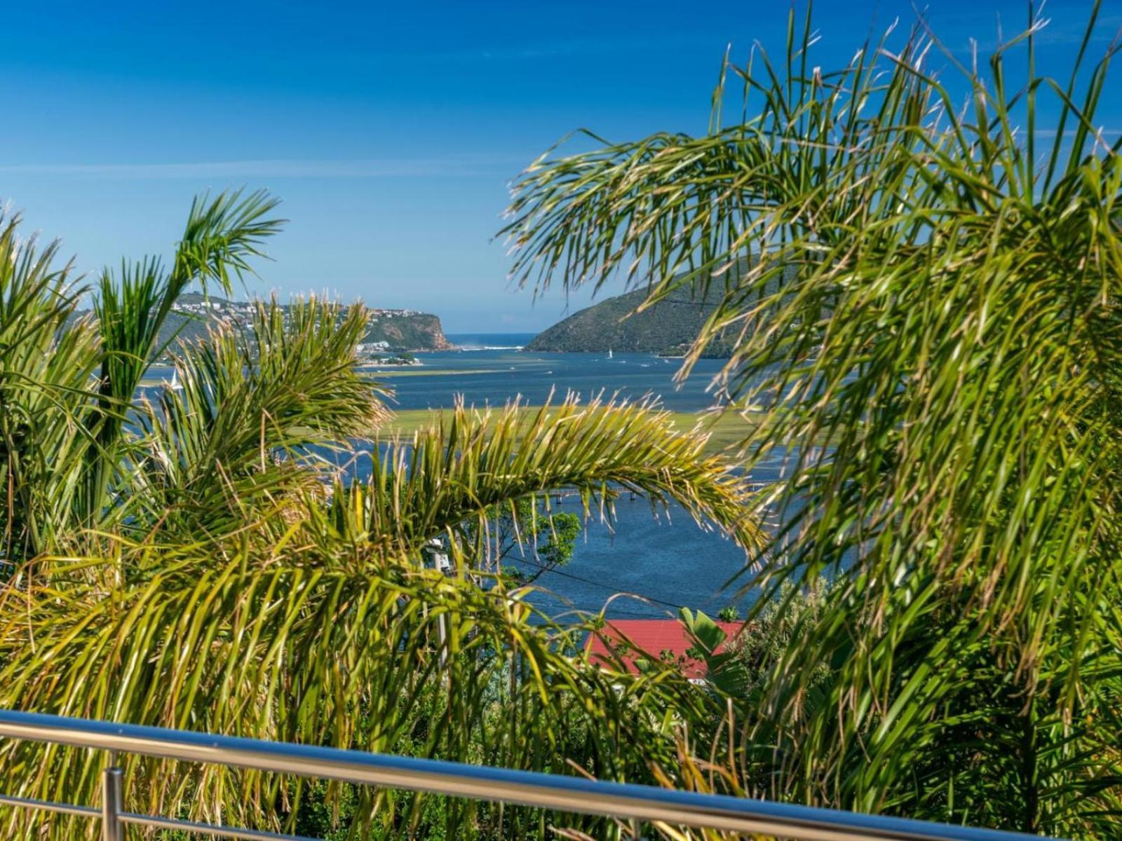 Guest House The Lazy Lion Knysna Extérieur photo
