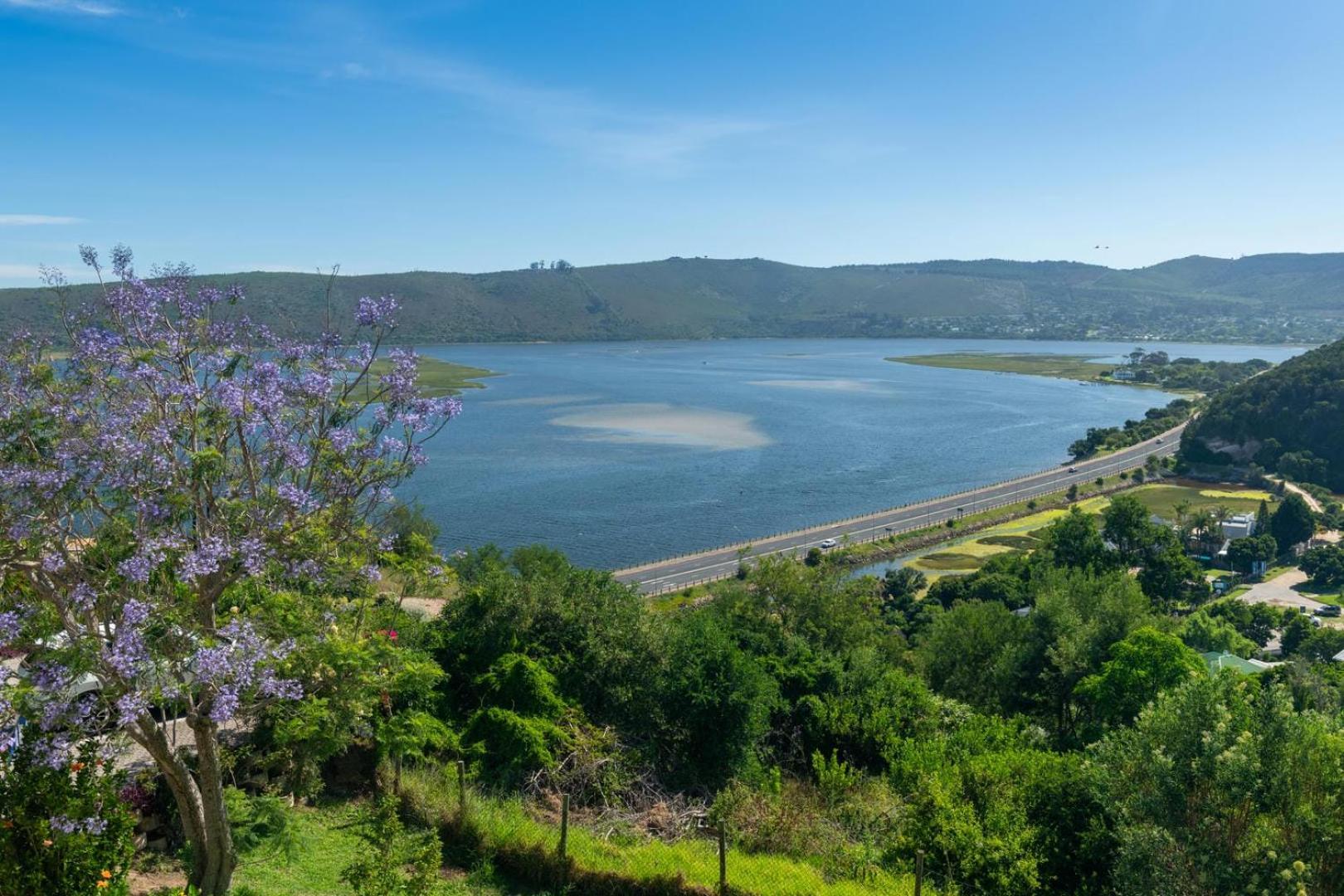 Guest House The Lazy Lion Knysna Extérieur photo