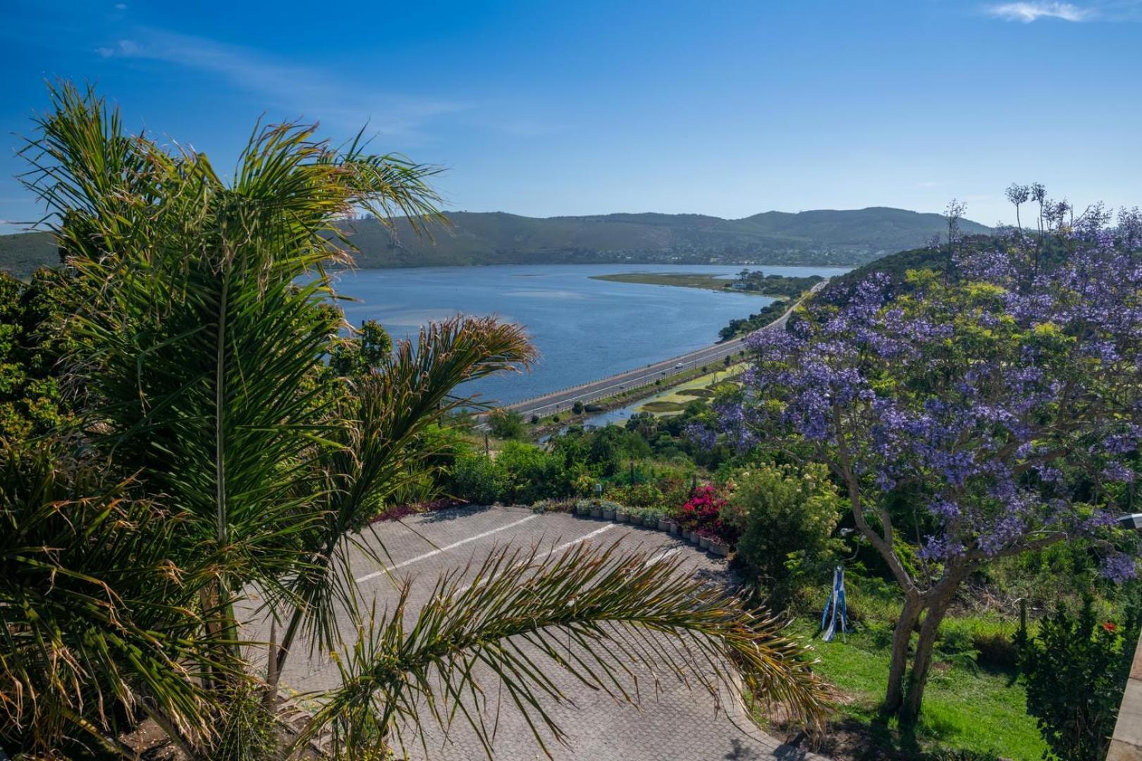 Guest House The Lazy Lion Knysna Extérieur photo